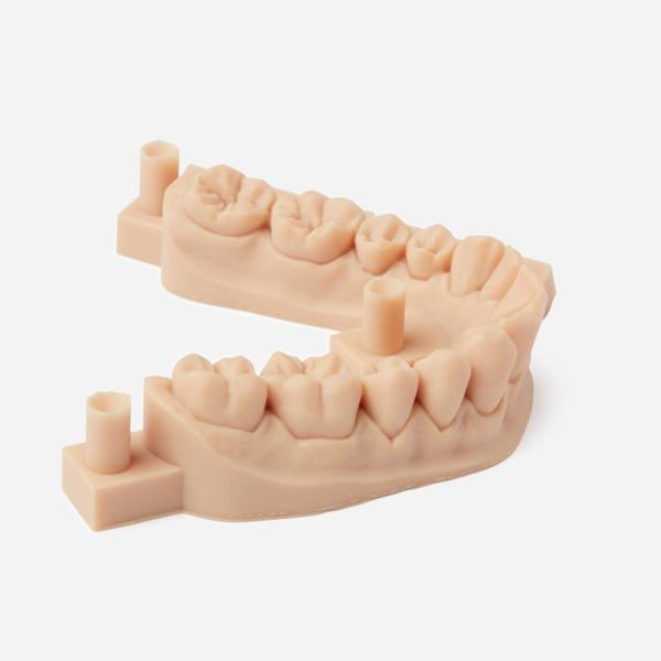 Formlabs Dental Model